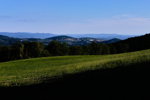 panorami