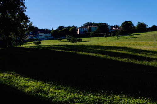 panorami